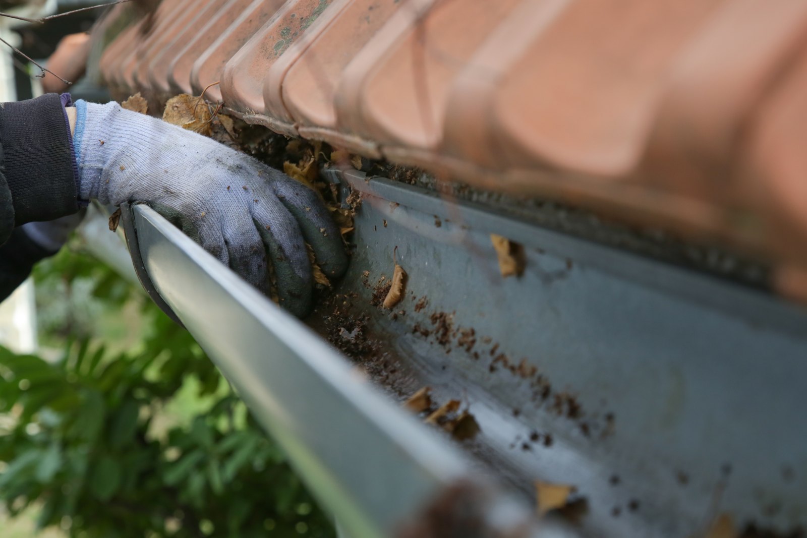 Gloved hand removing debris from a clogged gutter during cleaning