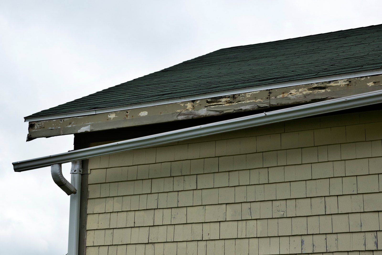 Roofline gutter on a home showing signs it may need repair